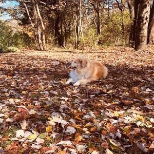 Meet your Posher, Barbara